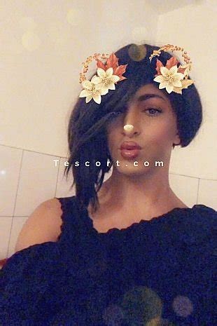 trans escort creteil|Escort Trans Créteil